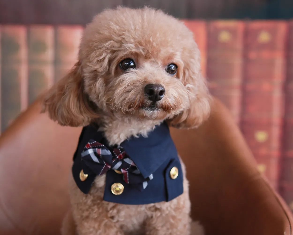 I love pets more than people sometimes